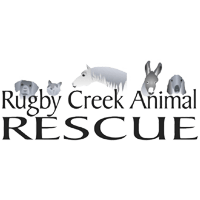 RCAR logo